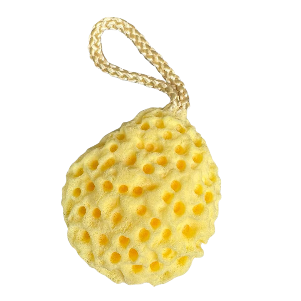 Esponja de Mar